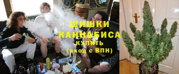 ГАЛЛЮЦИНОГЕННЫЕ ГРИБЫ Алексеевка